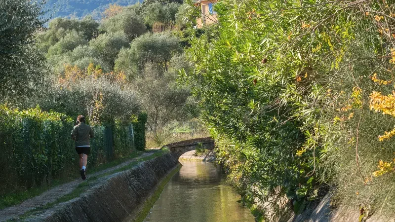 Mathieu_Panciatici_canalPeymeinade